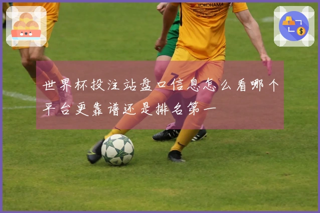 世界杯投注站盘口信息怎么看哪个平台更靠谱还是排名第一