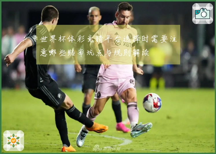 世界杯体彩竞猜平台选择时需要注意哪些赔率坑点与规则解读